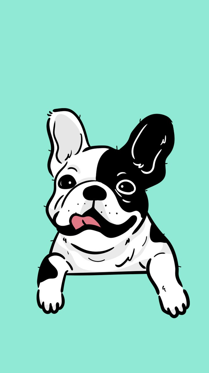フレンチブルドッグ