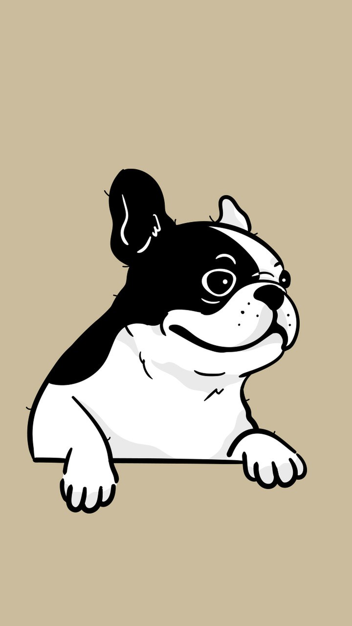 フレンチブルドッグ