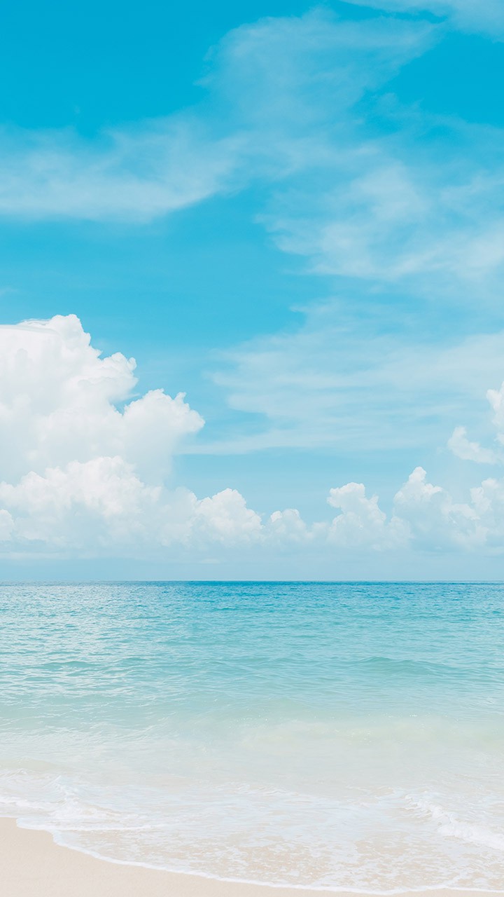 夏の青い空と海