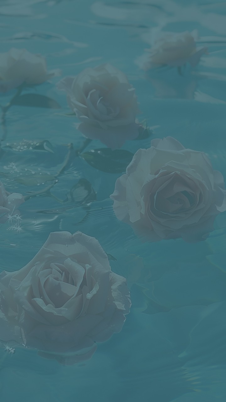 水面のバラ