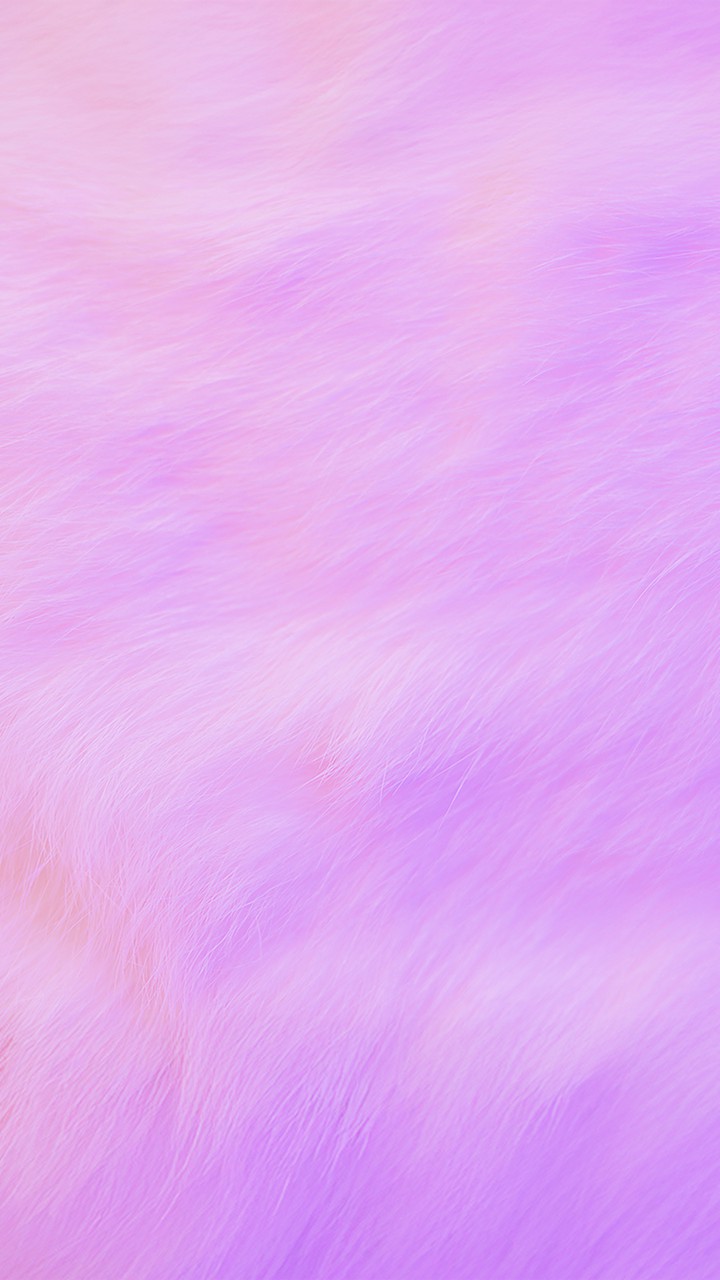 メルヘンファー