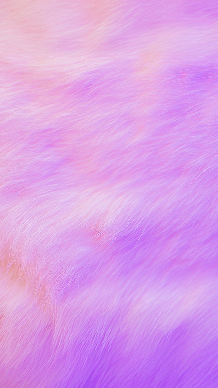 メルヘンファー