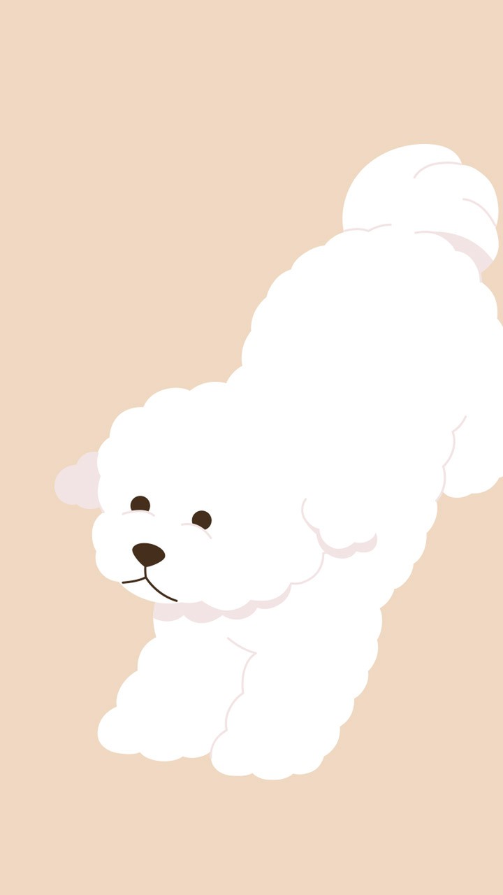 ふわふわビションフリーゼ