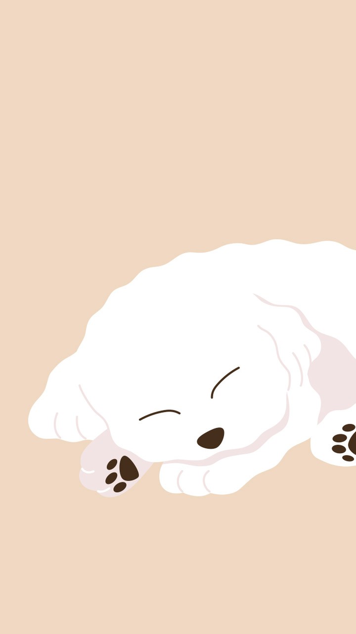 ふわふわビションフリーゼ