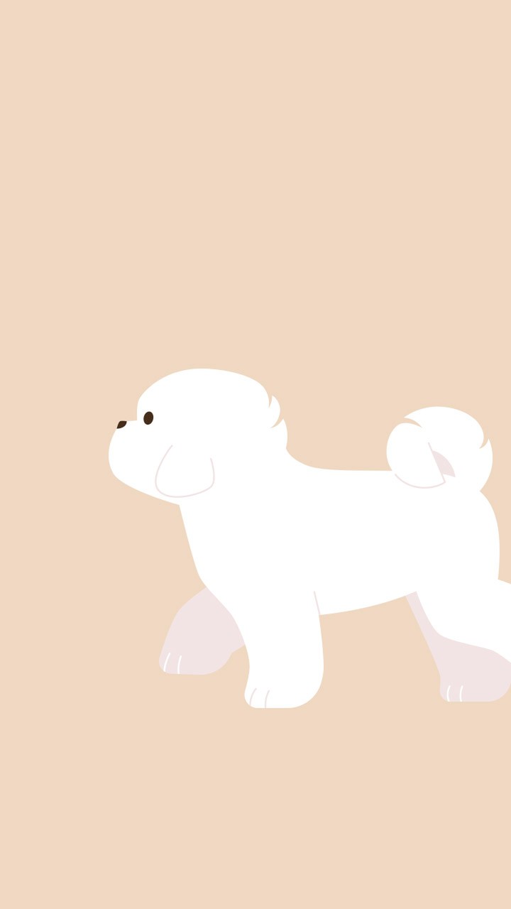 ふわふわビションフリーゼ