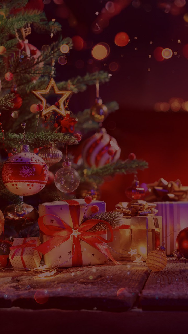 クリスマスの贈り物