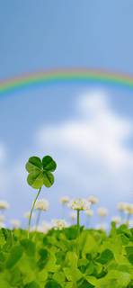 Rainbows and Clovers  Home Screen