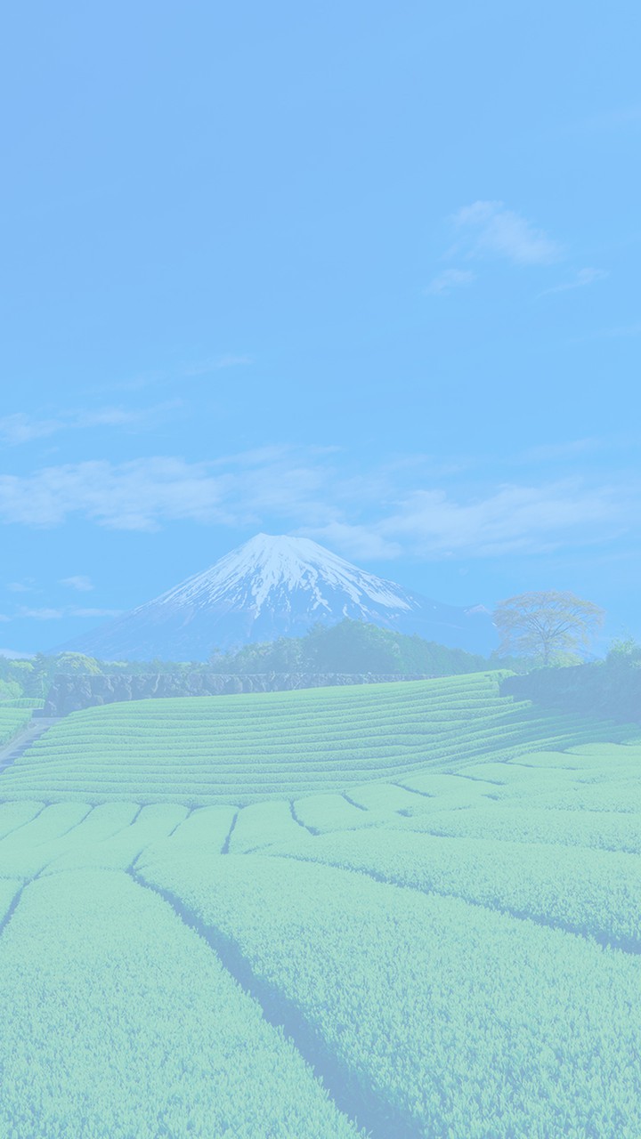 富士山と新緑の茶畑