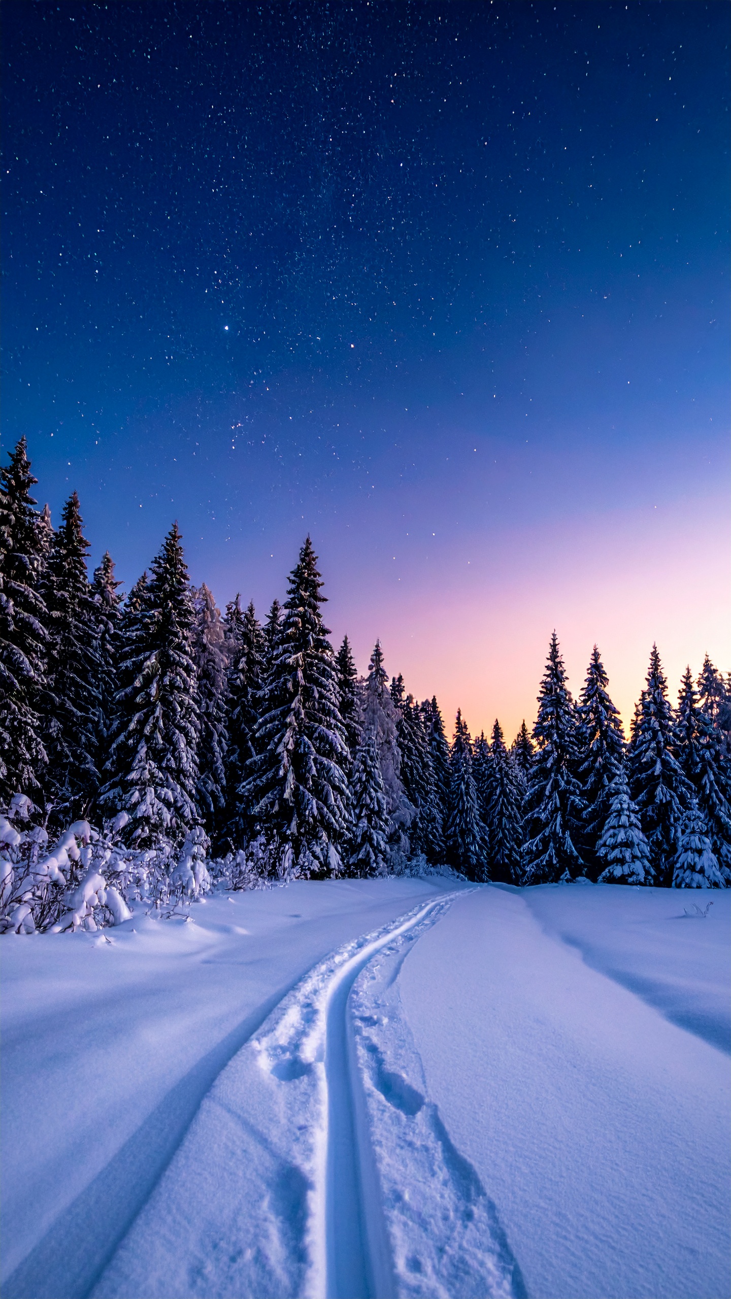 無数の星が降り注ぐ夜。真っ白な雪原に刻まれた一本のシュプールが、静かな森の奥へと誘う幻想的な風景