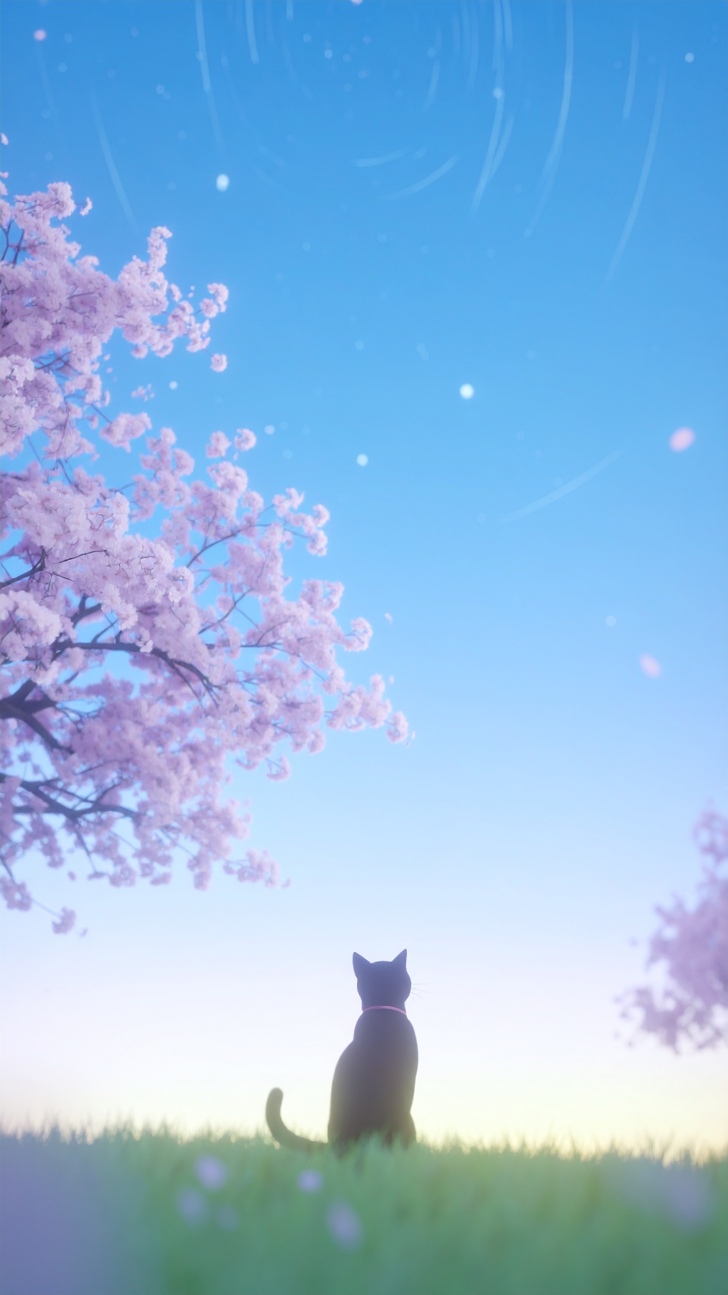 淡いブルーの空に向かって枝を伸ばす満開の桜と、その美しい景色を芝生の上から静かに眺める一匹の黒猫。春の穏やかな陽だまりの中に流れる、贅沢な時間を切り取ったデザインです。