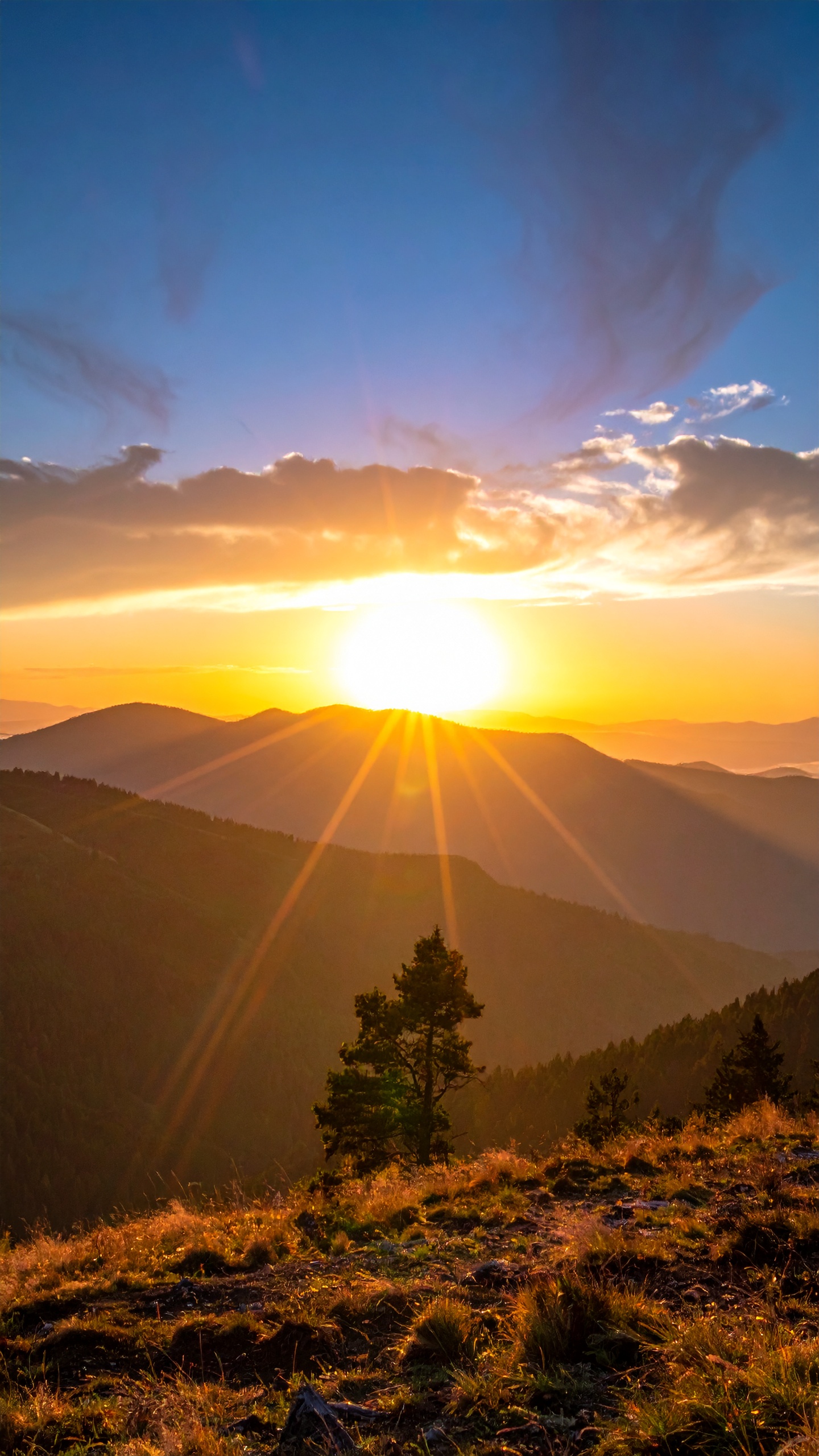 山並みのシルエットと空の対比が秀逸。ミニマルながら力強い構図が、洗練されたデバイスを彩ります。